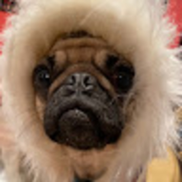 Meet your Posher, M_o.r_g.a_n - Picture 1 of 1